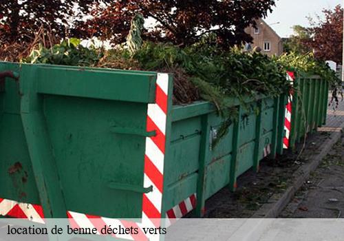 location de benne déchets verts  ferolles-attilly-77150 DM Bennes